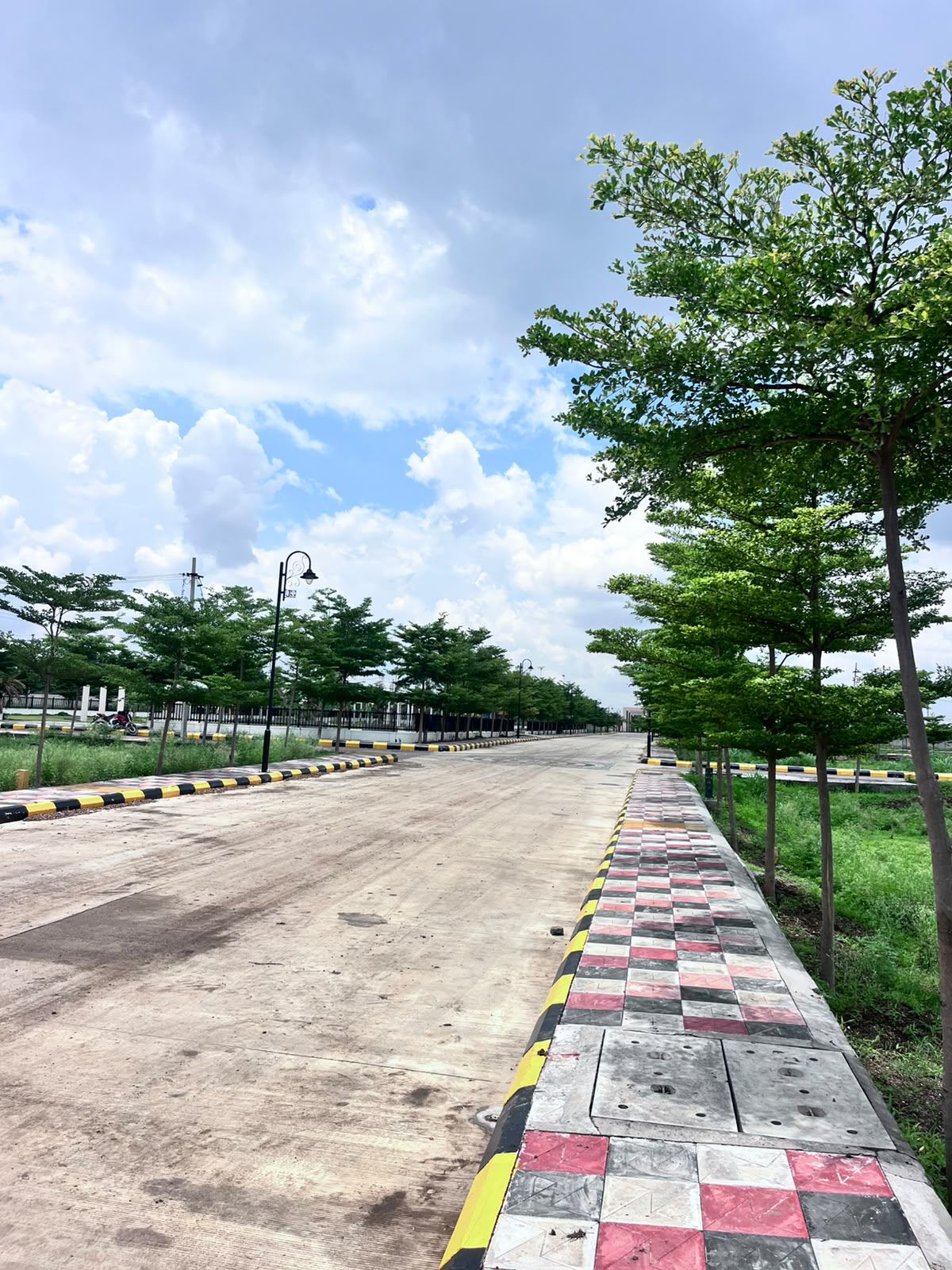 Internal road and landscaped pedestrian edge at SAHASRA